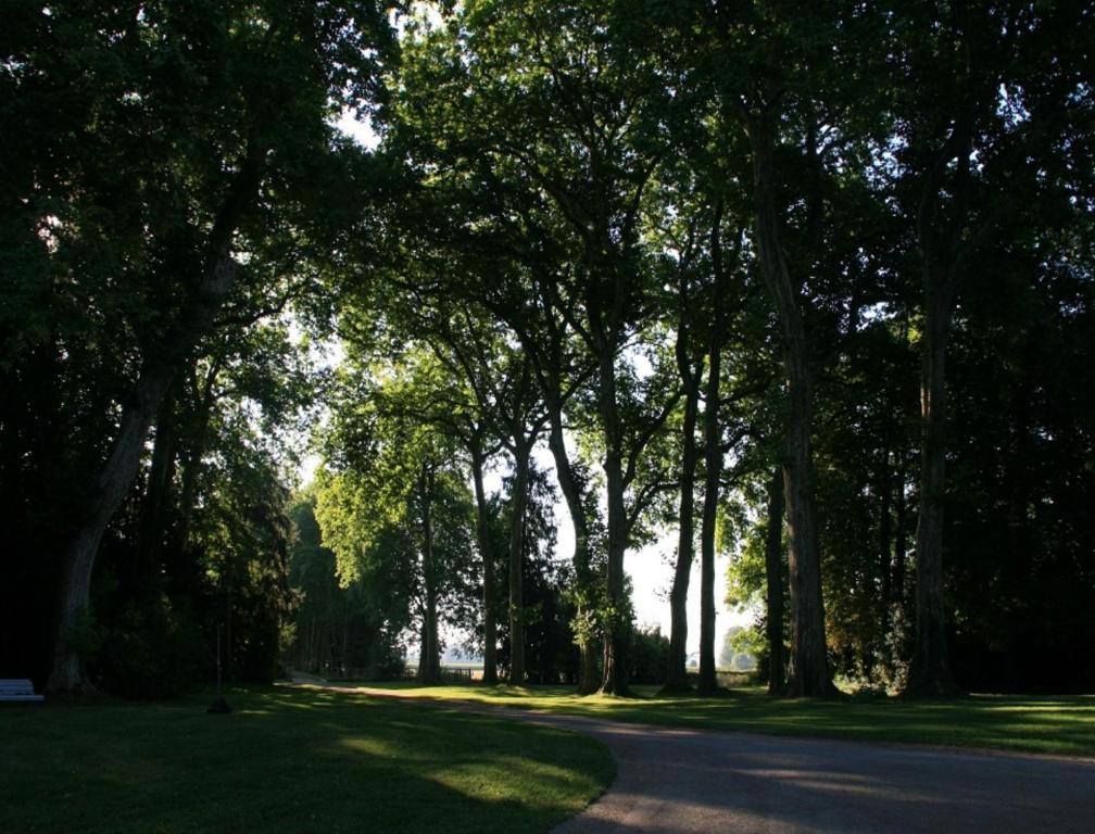 Chateau De Villars Villeneuve-sur-Allier Luaran gambar