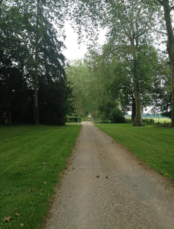 Chateau De Villars Villeneuve-sur-Allier Luaran gambar